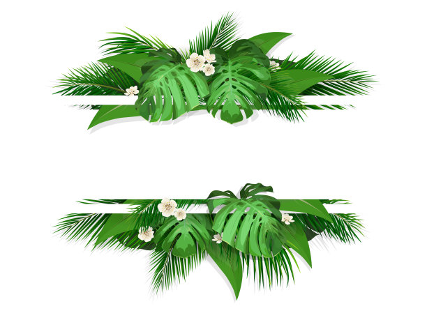 带有热带叶子和花朵的旗帜图片下载