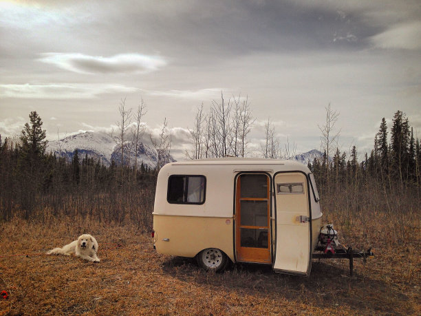 睡在育空图片下载