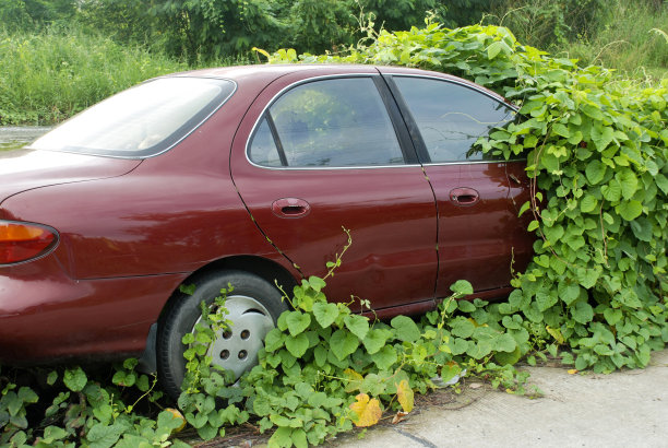 旧车停了很长时间。图片下载