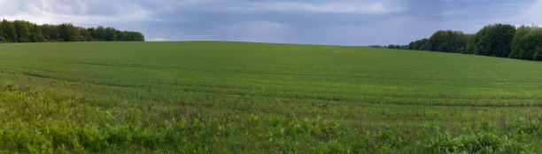 春日草地的全景图和暴风云团图片下载