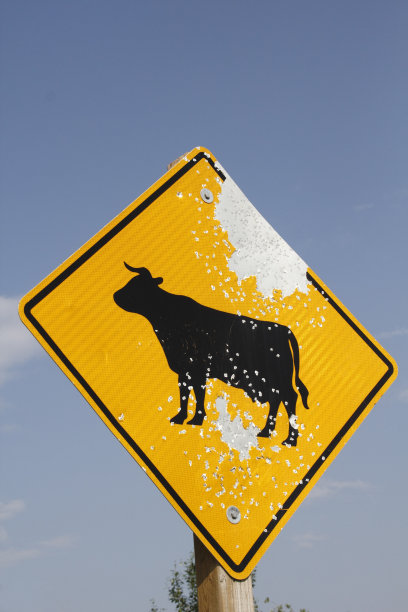 破坏路标图片下载