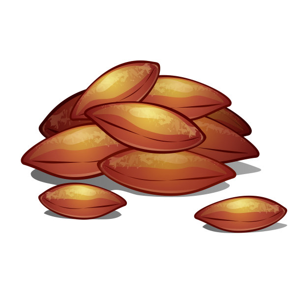 一堆孤立在白色背景上的杏核。矢量卡通特写插图图片下载