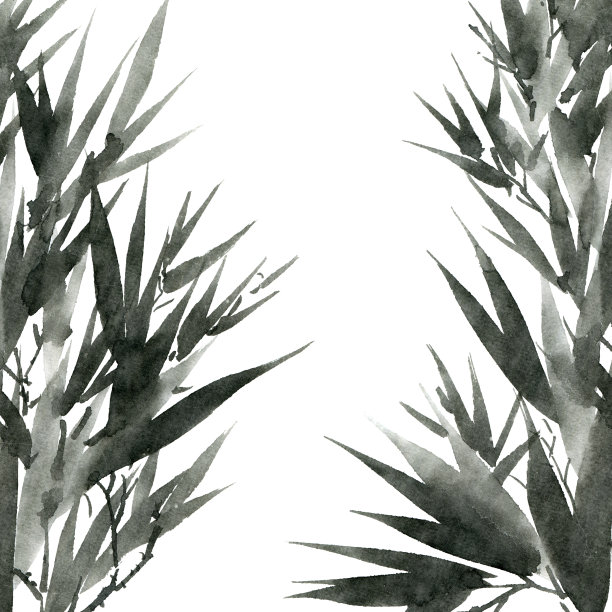 热带竹叶素材图片