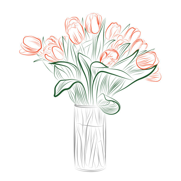 满满一瓶的郁金香线条画图片下载