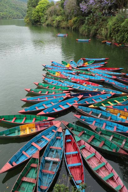 尼泊尔博卡拉的费瓦湖上的船只图片下载