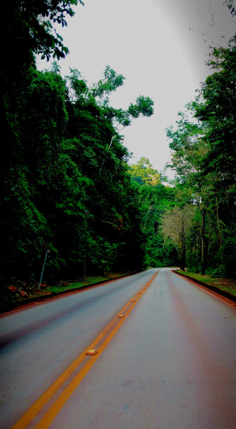 在穿越雨林的高速公路上散步。图片下载