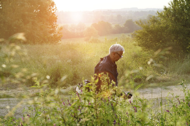 修剪草坪的老人图片下载