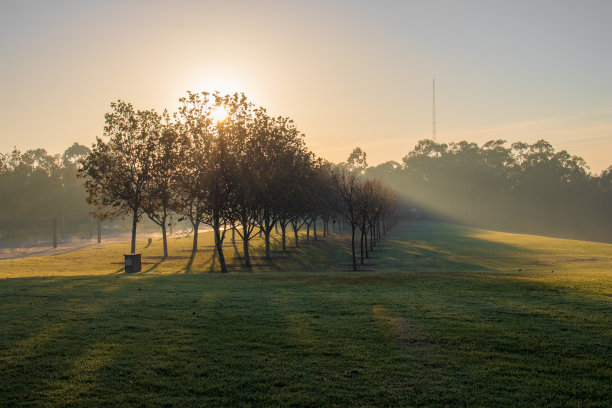 阳光穿过晨雾图片下载