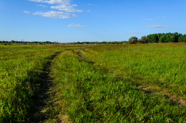 宽的绿草地图片下载