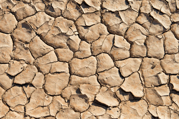 干燥的沙漠土壤，地面有裂缝图片下载