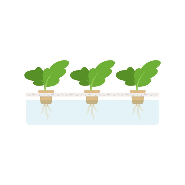 水培植物病媒分离插图图片下载