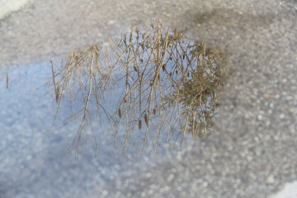 水反射图片下载