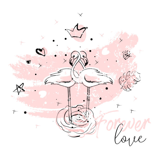 热带火烈鸟插图卡图片下载