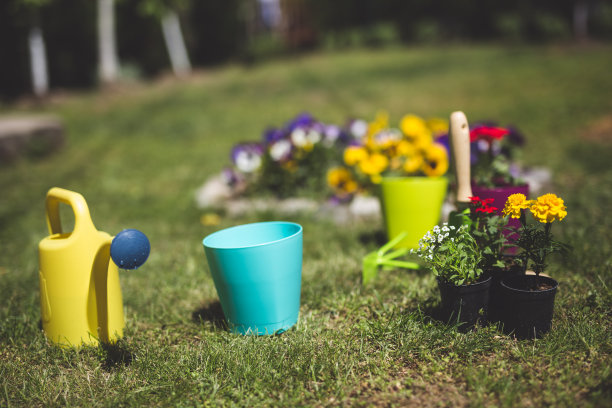 春天园艺的东西图片下载