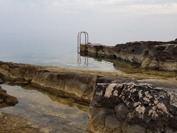 洛辛吉兄弟图片下载