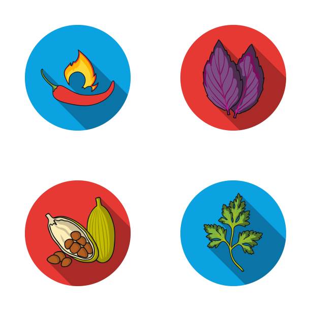辣椒，罗勒，可可豆，欧芹。香草和香料设置收集图标在平面风格矢量符号股票插图网。图片下载