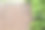 简单的照片背景图案红色砖墙与绿色常春藤图片下载