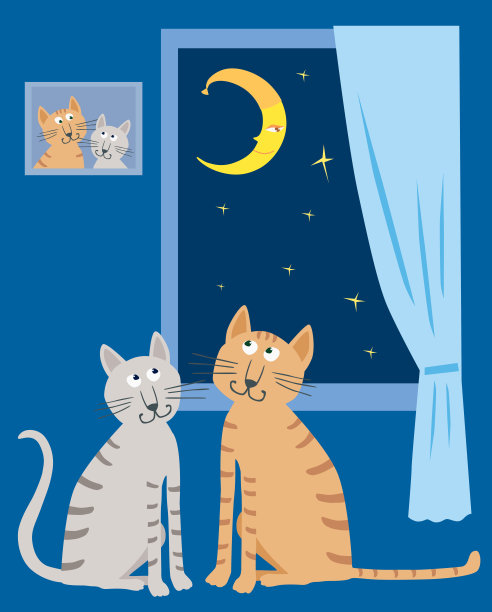 繁星点点的夜晚，一对家猫在他们的家中图片下载