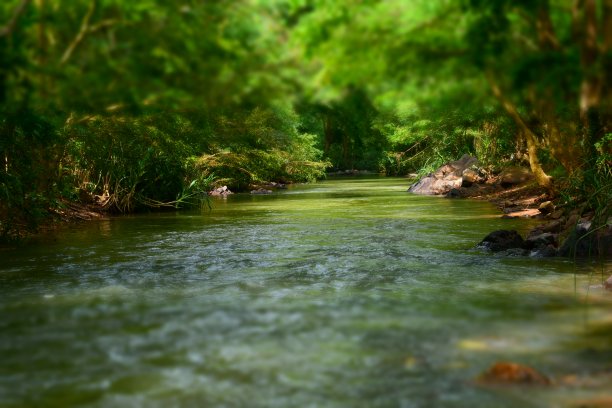 瓦拉威河图片下载