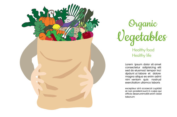 装蔬菜的回收购物纸袋。手握包概念涂鸦插图。设计矢量模板。图片下载