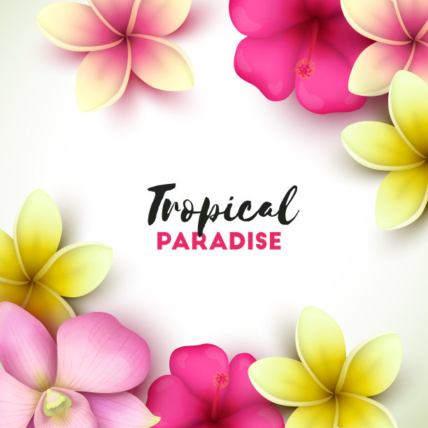 色彩鲜艳的背景与热带花卉图片下载