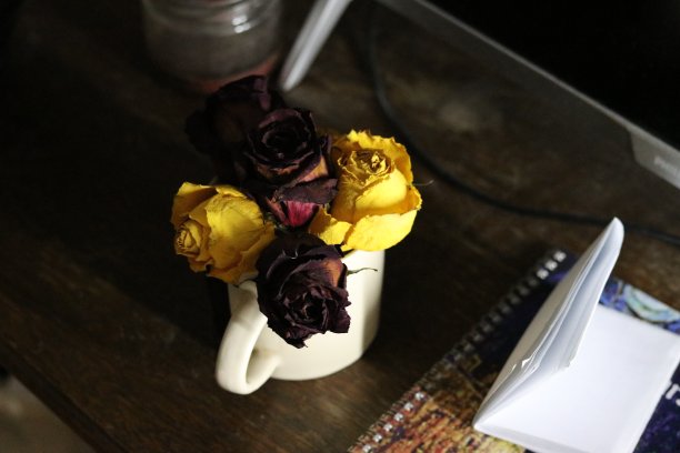 我给她留了5朵玫瑰和一张便条图片下载