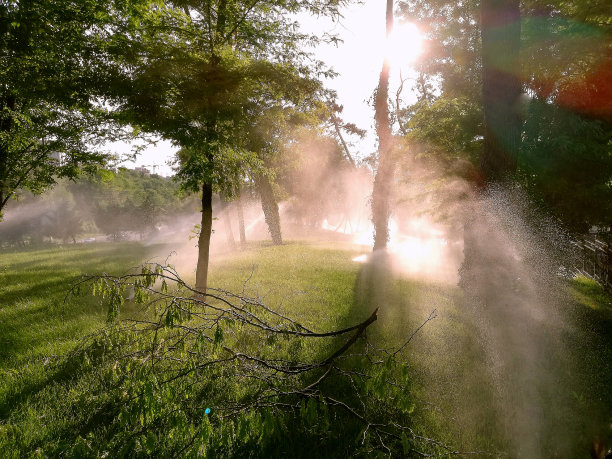 公园里浇水图片下载