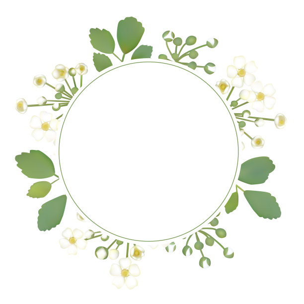 花。花的背景。花环。圆的框架。白色的花蕾。小的花序。绿色的树叶。花朵图案。向量。图片下载