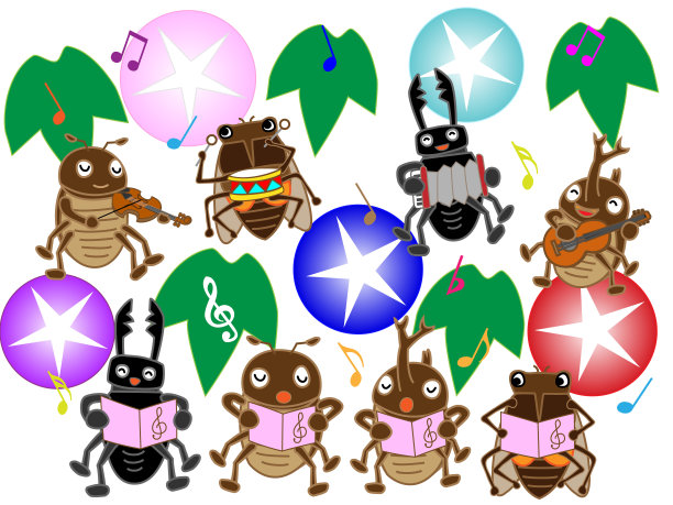 音乐的昆虫图片下载