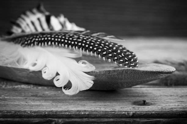 带有羽毛的风化背景图片下载