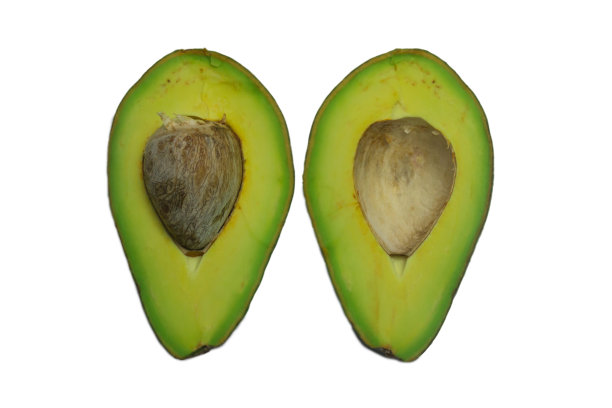 热带鳄梨图片下载