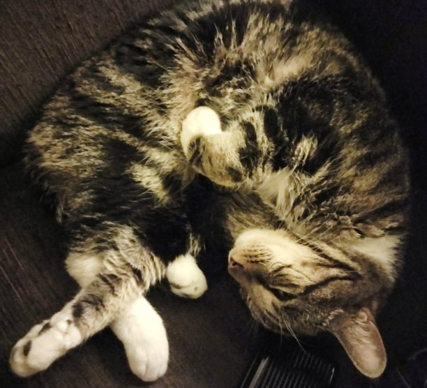 可爱，我知道图片下载