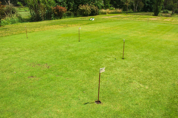 一个高尔夫球场图片下载