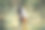 的爱情故事。图片下载