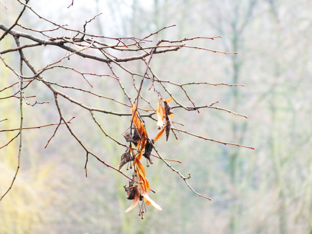 边缘的生活图片下载
