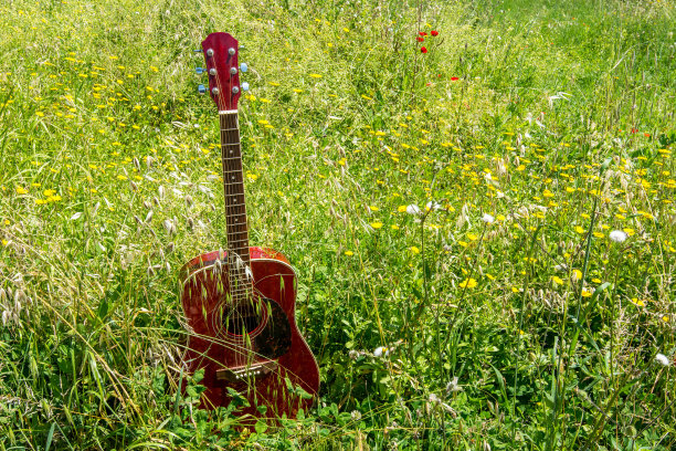 原声吉他的特写躺在草地和草地上，复古风格与复制空间图片下载
