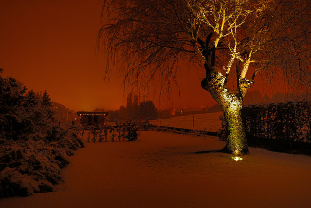 冬雪黄昏花园图片下载