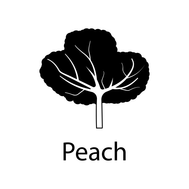 桃树插图。移动概念和web应用的植物图标元素。详细的桃树插图可以用于网络和手机图片下载