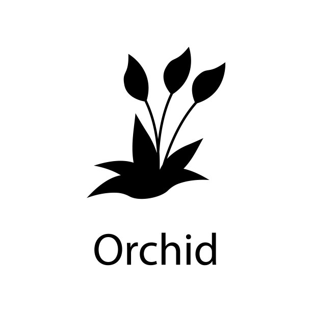 兰花插图。移动概念和web应用的植物图标元素。详细的兰花插图可以用于网络和移动图片下载