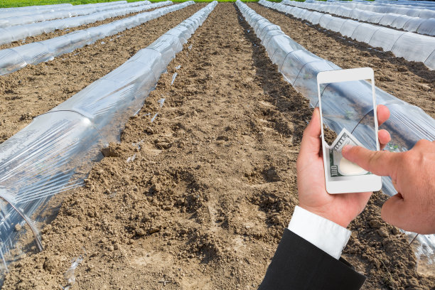 在农田上一排一排的温室隧道图片下载