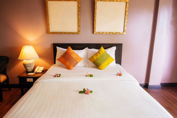 公寓内部与鸡蛋花在豪华酒店图片下载