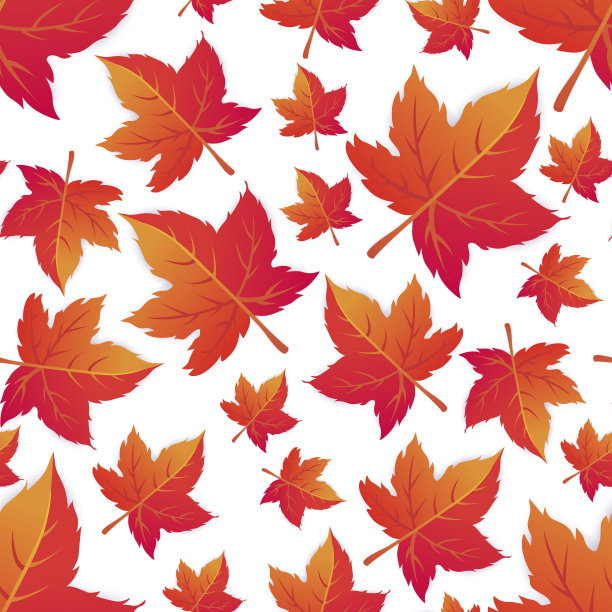 秋天无缝背景与树叶。一年的季节变化。树木失去了它们的叶子。图片下载