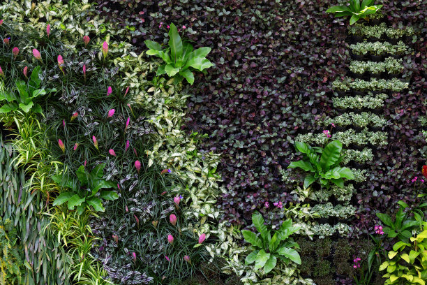 公园的垂直园艺。图片下载