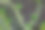 公园的垂直园艺。图片下载