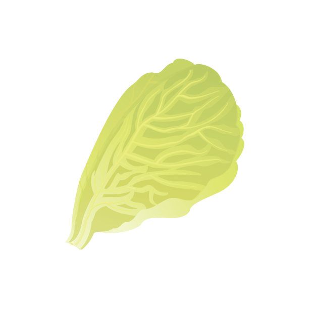 生菜图标图片下载