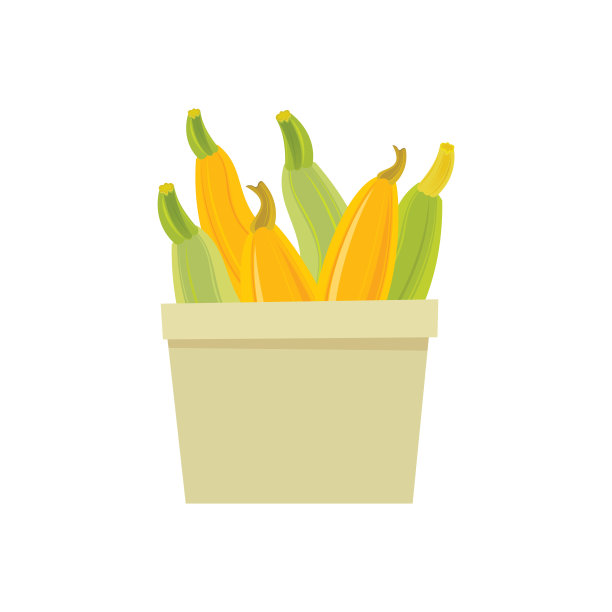 黄色和绿色的西葫芦图标图片下载