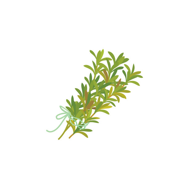 百里香图标图片下载