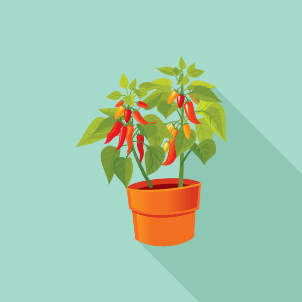 辣椒图标图片下载