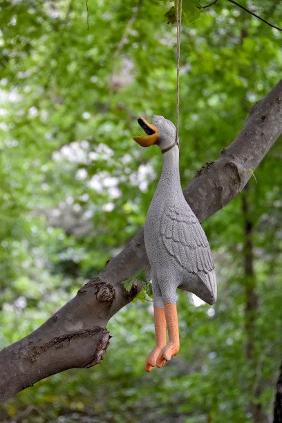 挂橡皮鸭图片下载