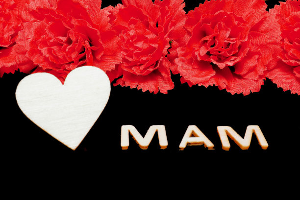 康乃馨人造花图片下载